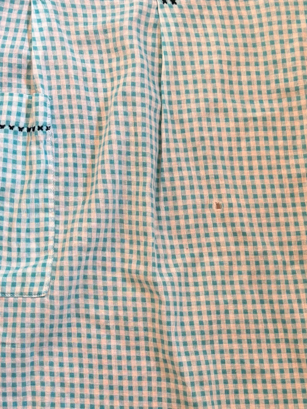 Vintage Blue Checked Apron with Embroidered Details
